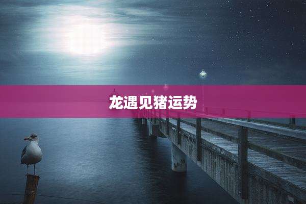 龙遇见猪运势