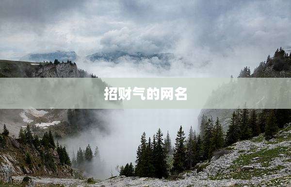 招财气的网名