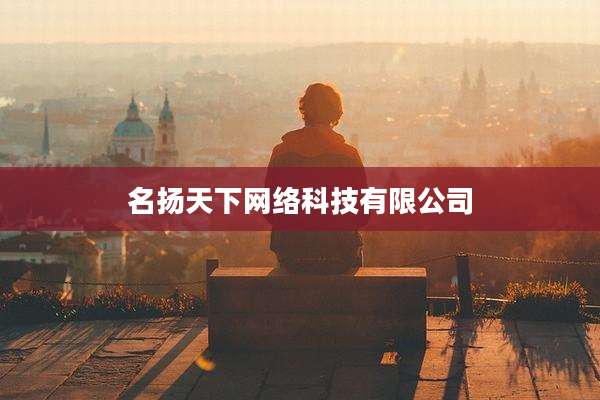 名扬天下网络科技有限公司