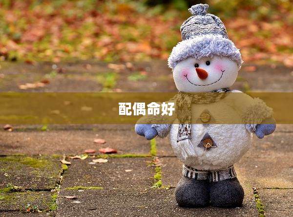 配偶命好