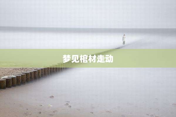 梦见棺材走动