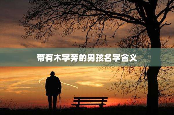 带有木字旁的男孩名字含义