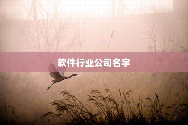 软件行业公司名字