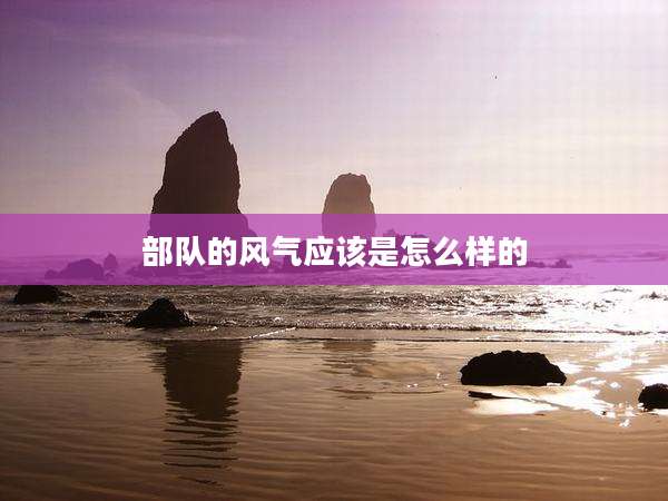 部队的风气应该是怎么样的