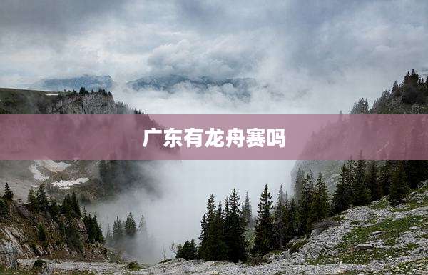 广东有龙舟赛吗