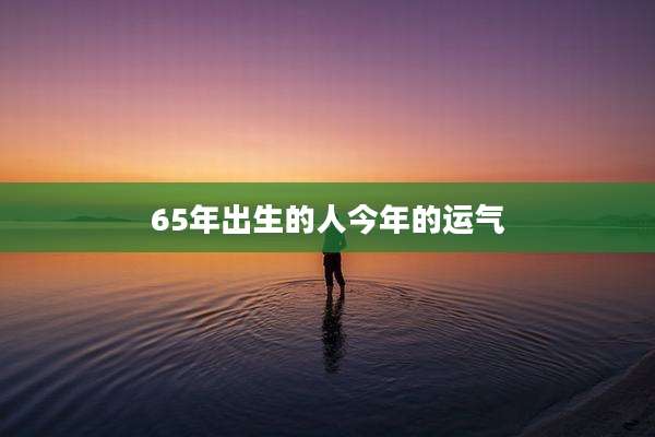 65年出生的人今年的运气