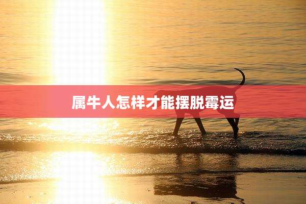 属牛人怎样才能摆脱霉运