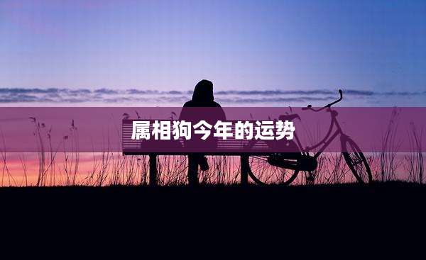 属相狗今年的运势