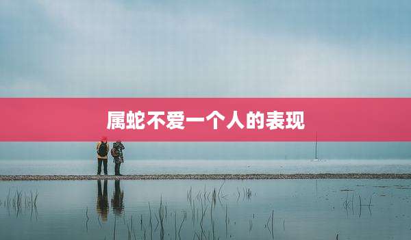 属蛇不爱一个人的表现