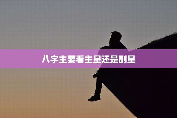八字主要看主星还是副星