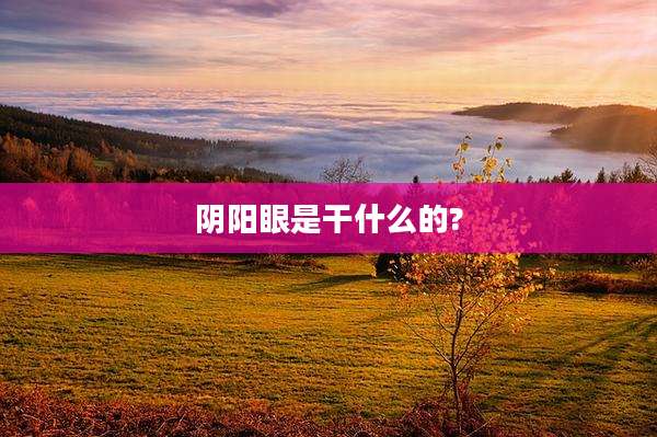 阴阳眼是干什么的?