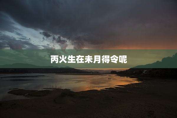 丙火生在未月得令呢