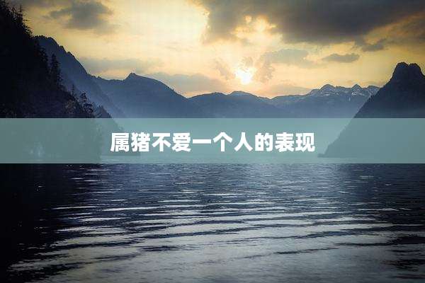 属猪不爱一个人的表现