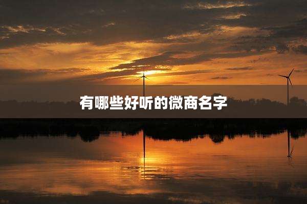 有哪些好听的微商名字