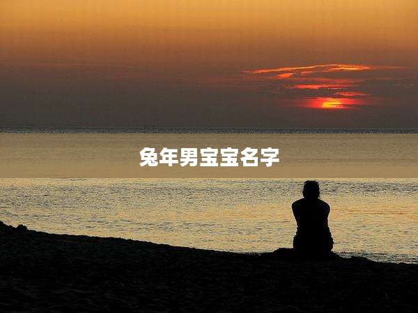 兔年男宝宝名字
