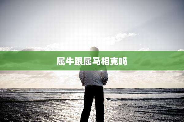 属牛跟属马相克吗