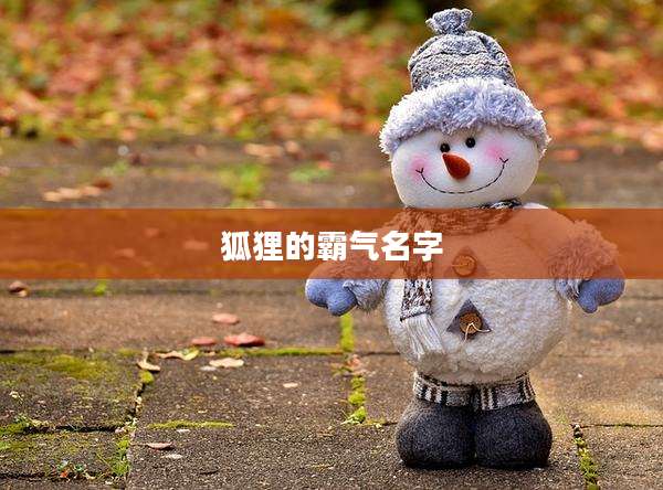 狐狸的霸气名字