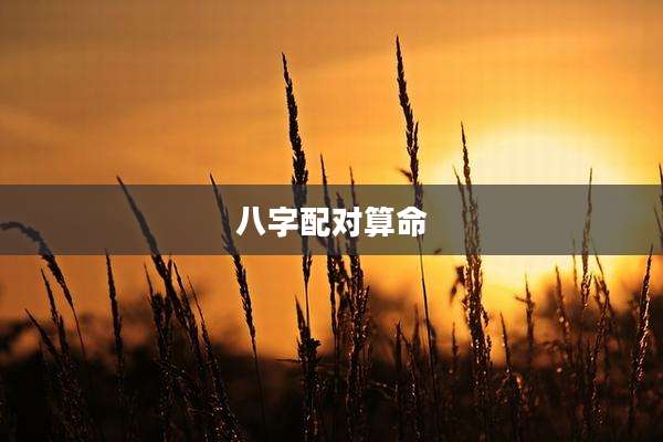 八字配对算命