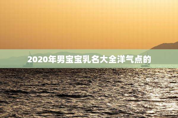 2020年男宝宝乳名大全洋气点的