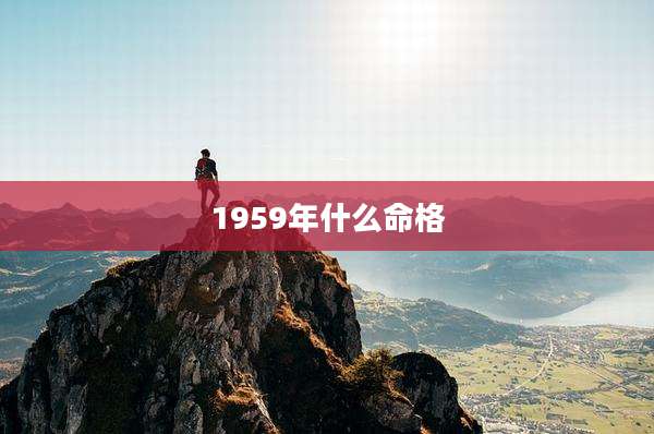 1959年什么命格