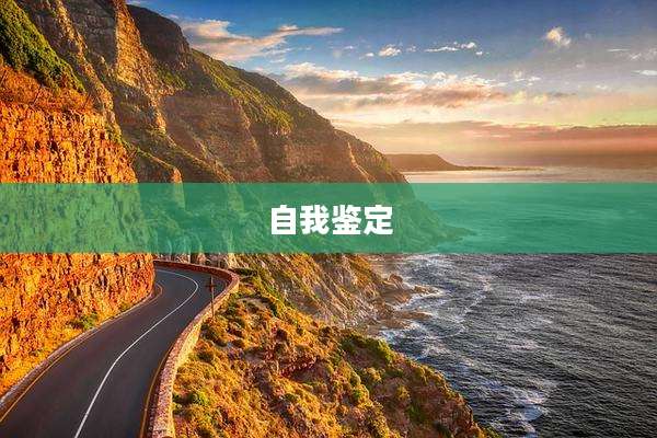 自我鉴定