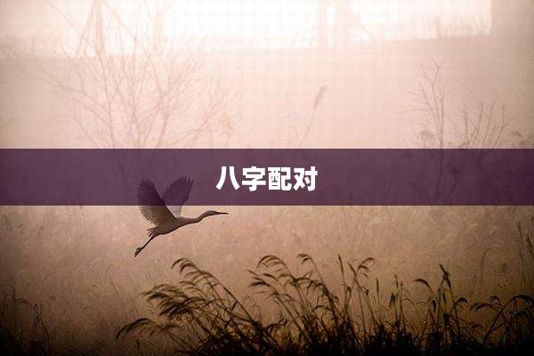 八字配对