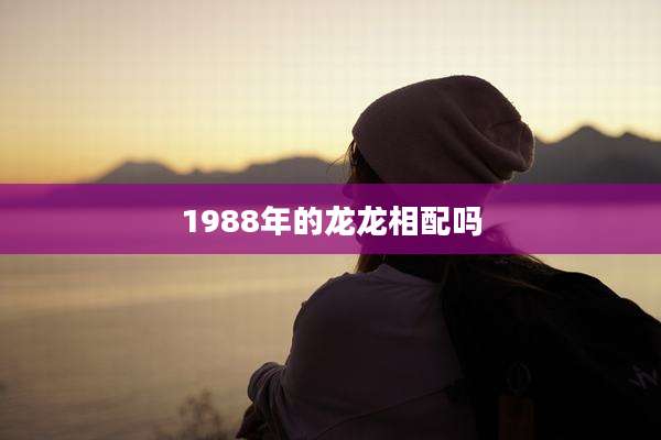 1988年的龙龙相配吗