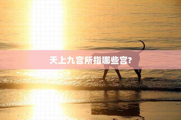 天上九宫所指哪些宫?
