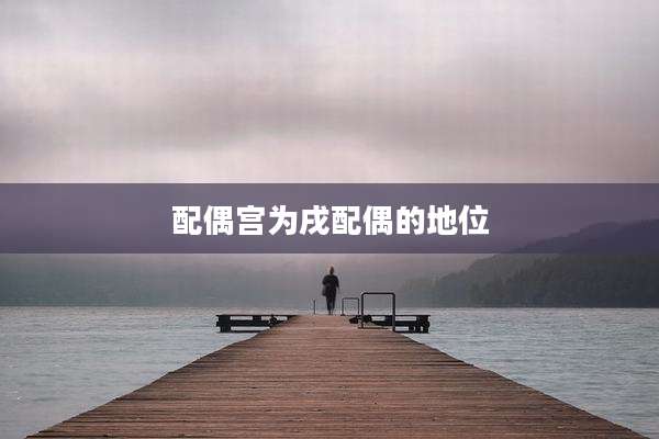配偶宫为戌配偶的地位