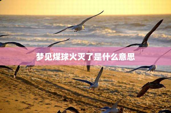 梦见煤球火灭了是什么意思