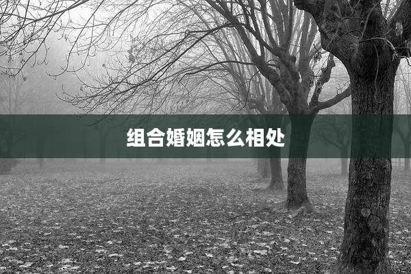 组合婚姻怎么相处