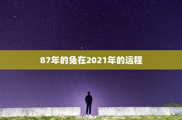 87年的兔在2021年的运程