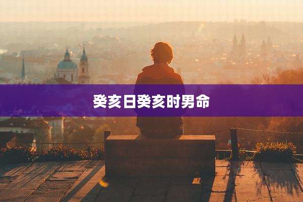 癸亥日癸亥时男命