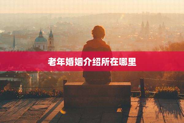 老年婚姻介绍所在哪里