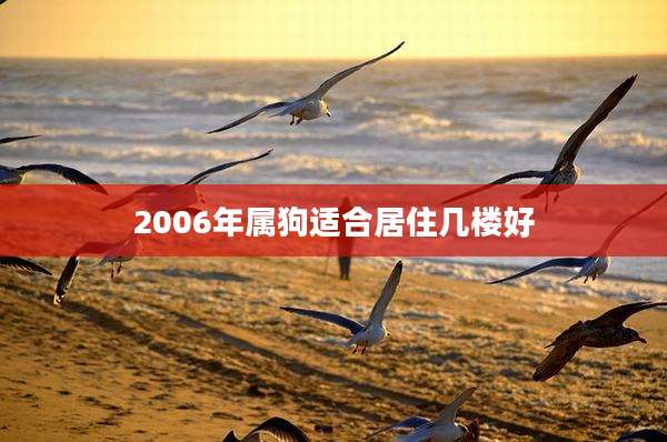 2006年属狗适合居住几楼好