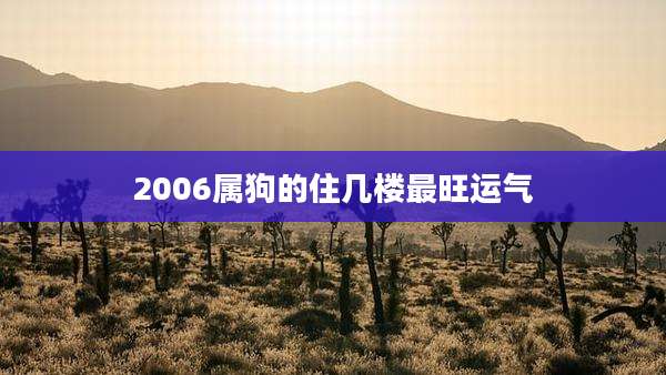 2006属狗的住几楼最旺运气