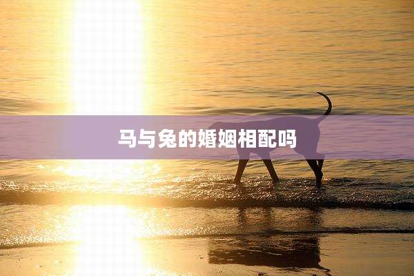 马与兔的婚姻相配吗