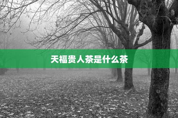 天福贵人茶是什么茶