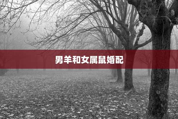 男羊和女属鼠婚配