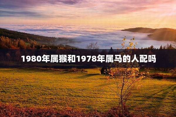 1980年属猴和1978年属马的人配吗