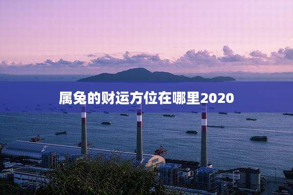 属兔的财运方位在哪里2020