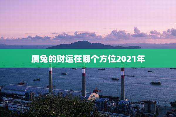 属兔的财运在哪个方位2021年
