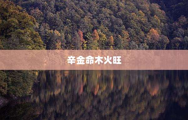 辛金命木火旺
