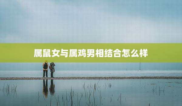 属鼠女与属鸡男相结合怎么样