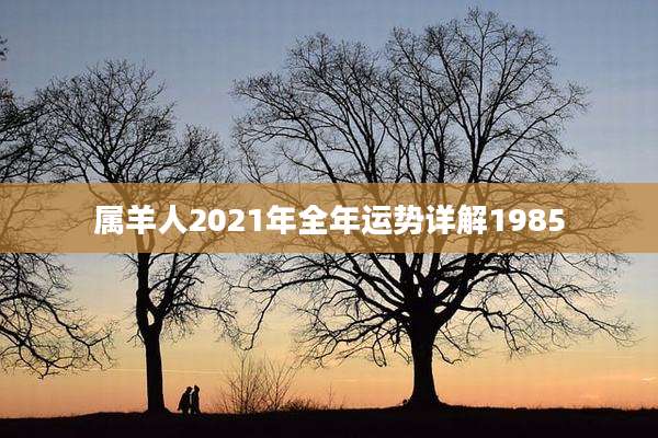 属羊人2021年全年运势详解1985
