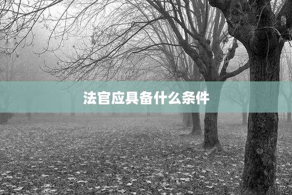 法官应具备什么条件