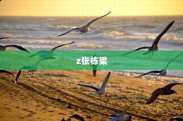 z张栋梁