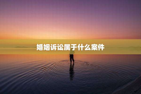 婚姻诉讼属于什么案件