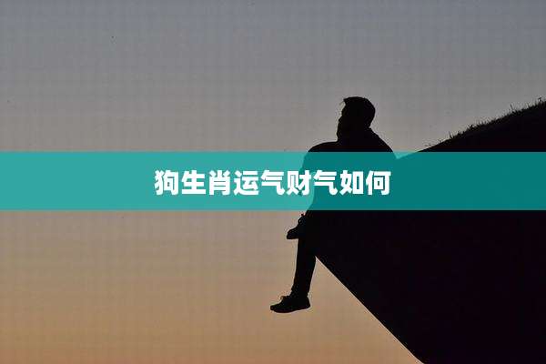 狗生肖运气财气如何