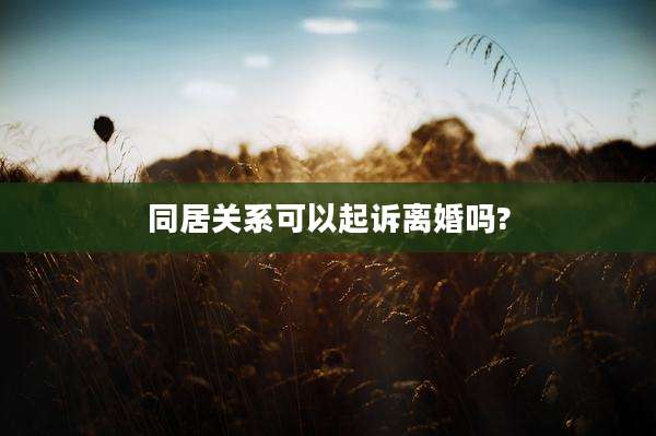 同居关系可以起诉离婚吗?